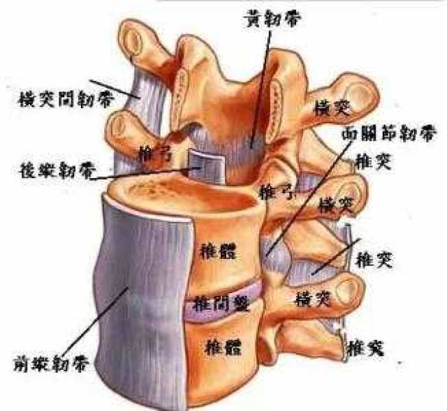 软组织损伤的诊断与治疗手法