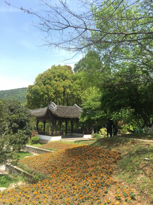 虞山國家森林公園位於風光絢麗的沙家浜畔,陽澄湖邊,猶如一顆璀璨的