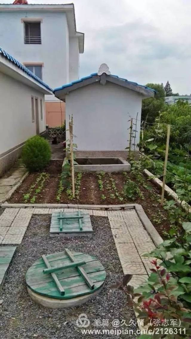 被公知大V污蔑了几十年的朝鲜竟是这样,彻底惊