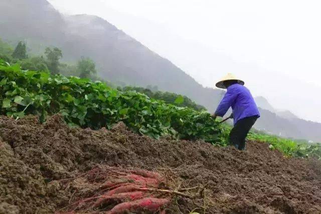 在徐飛小時候,遭遇了一次車禍.爸爸騎著摩托車出門,被另