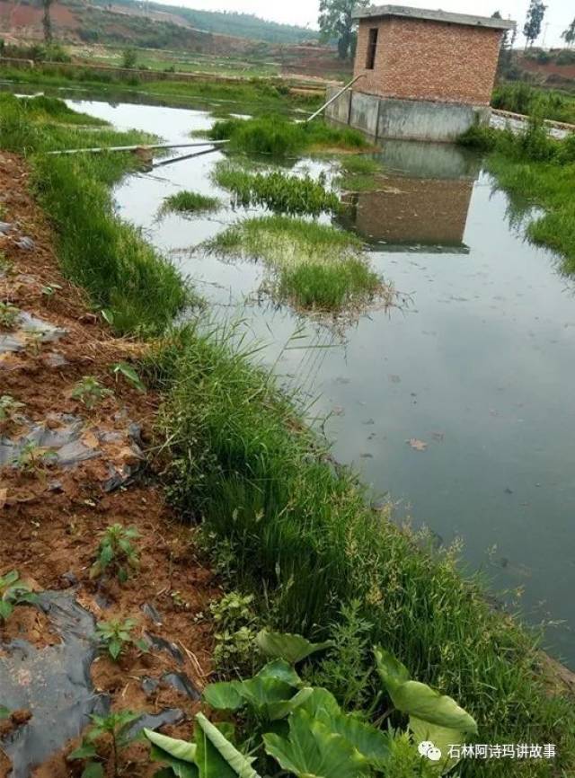 在这里,不下雨的时候 水是白色的,下雨以后,水又 变成泥土一样的红色