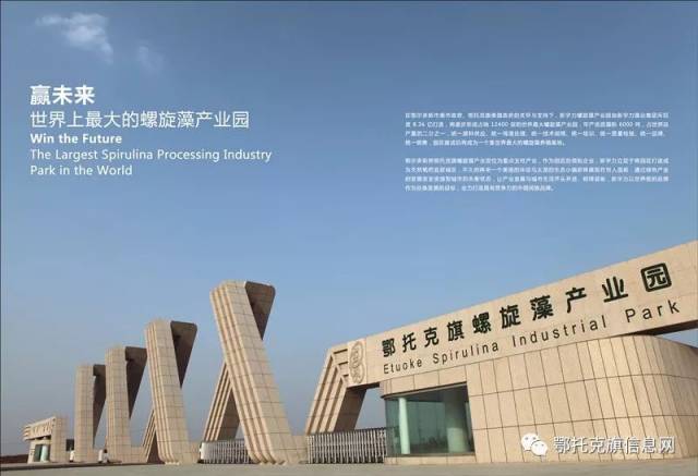 螺旋藻粉：开启绿色健康新时代
