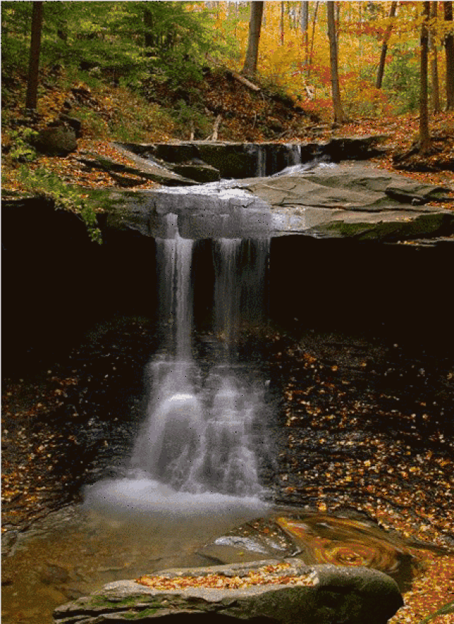 450_617竖版 竖屏gif 动态图 动图