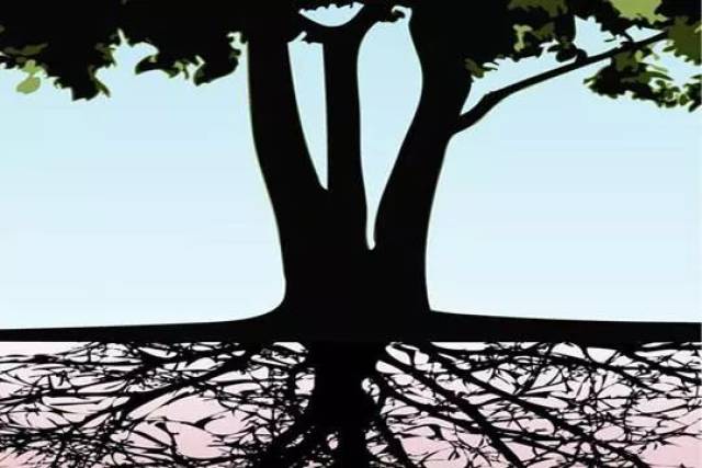 厚植文化底蕴 筑牢善德根基