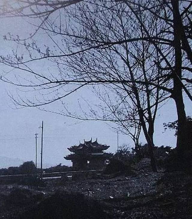 32张温州老照片!看到信河街,我彻底懵了