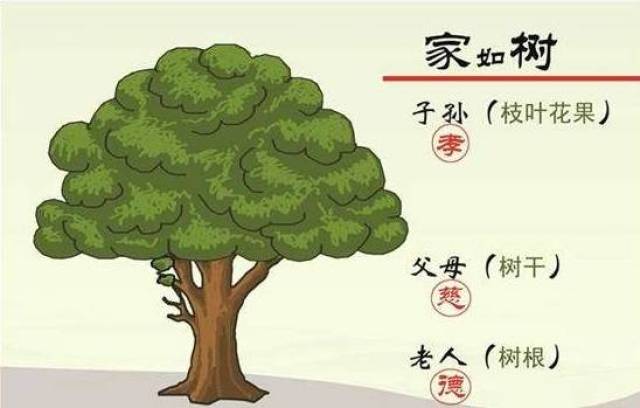 大家知道连根养根重要,那么连根养根难吗?不难.