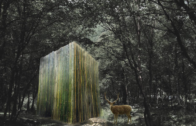 十天的时间,他们用竹子搭建出一个苍穹