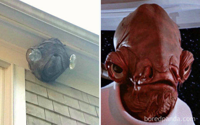 其实这是一种心理现象啦 叫幻想性视错觉(pareidolia) 主要表现为将