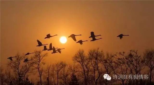 谢新恩·冉冉秋光留不住