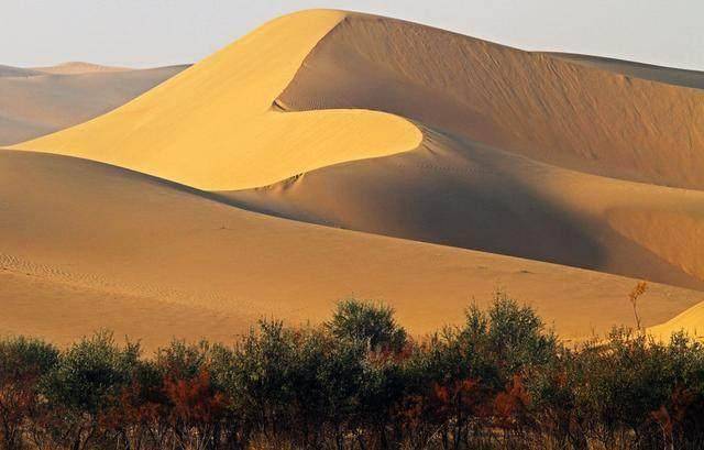 又一沙漠变绿洲奇迹!中国科学家发明神奇"胶水",可将沙子变土