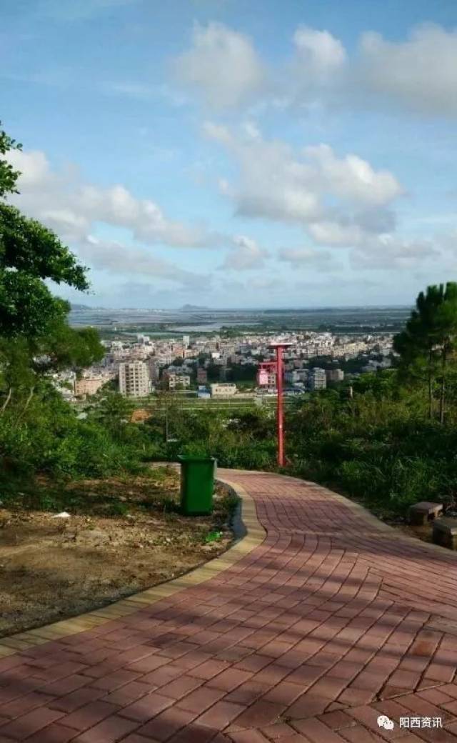 阳西县-儒洞镇【最美乡村】投票活动开始了