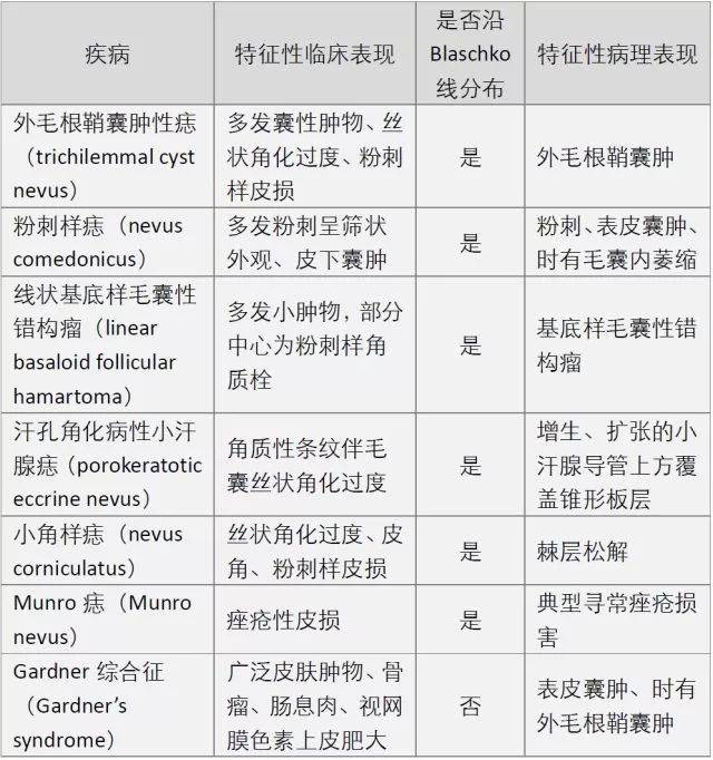 毛根鞘囊肿图片