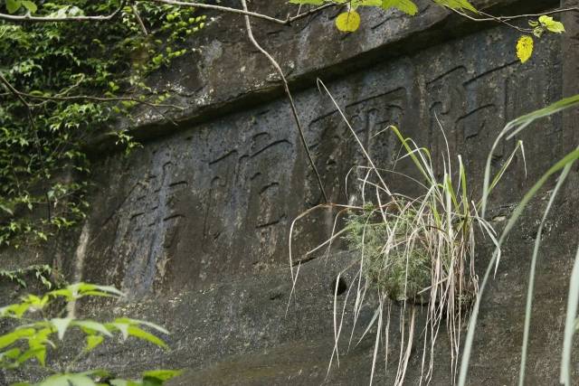 关于石岭,我们一起聊聊吧!