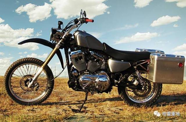 哈雷=水鸟!所向披靡!