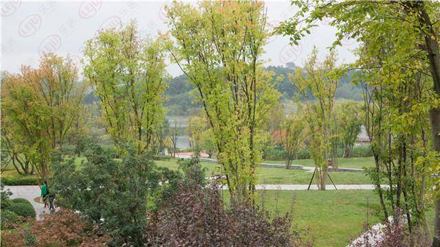 由于十二滩公园的存在,十二滩及其周边区域毫无疑问成为了观山西板块