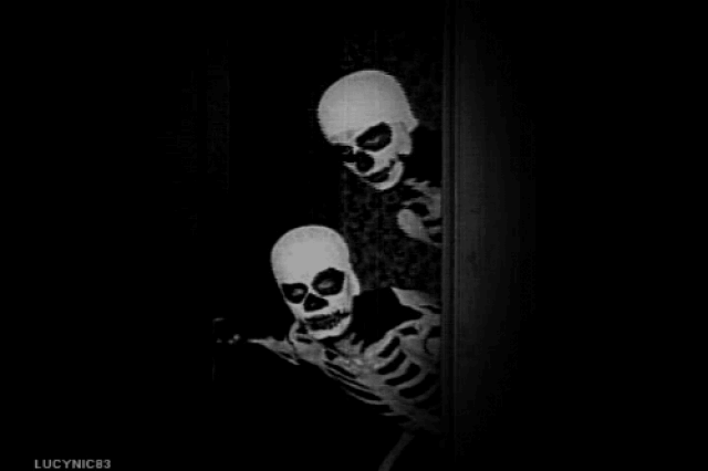 500_333gif 动态图 动图