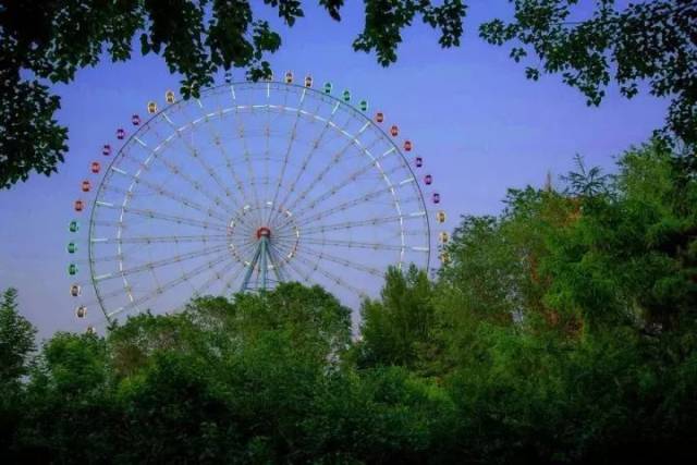 這裡是老人晨起鍛鍊的地方 這裡是瀋陽人最愛的悠閒之地 南湖公園