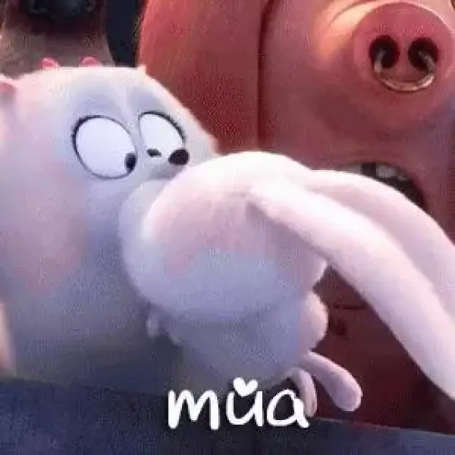 表情包| 还记得《爱宠大机密里》的兔子吗?简直萌化了