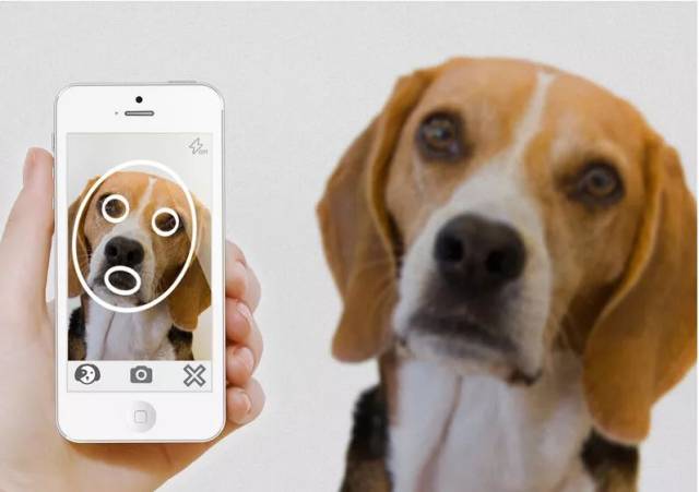 然而,计算机图像识别真的如此可靠吗?