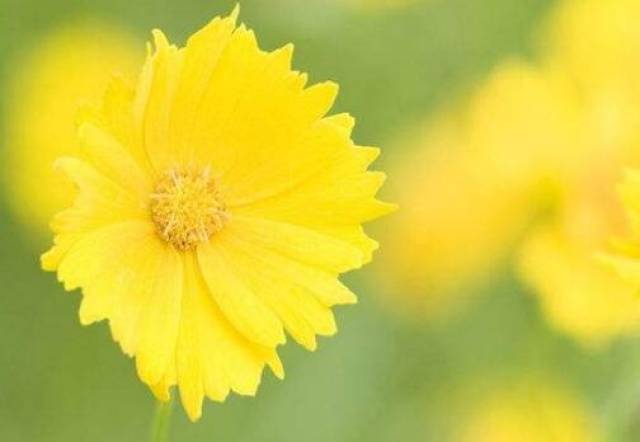 梦见死人头是什么征兆 各种人梦见死人头颅周公解梦