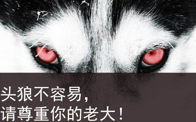 ktv版"金拱门"请笑纳!