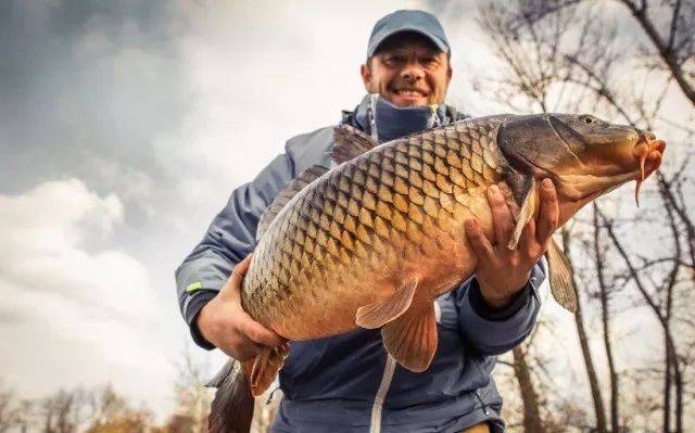 老刘野生鱼|来自乌苏里江的大鱼,成就一锅美味的东北炖鱼