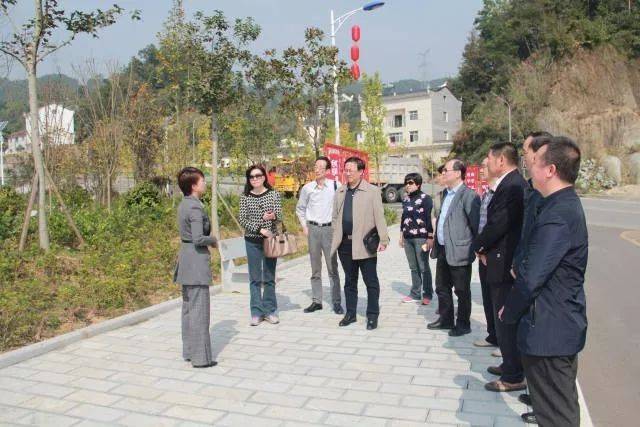 夷陵区委区直机关工委常务副书记李正源,太平溪镇党委书