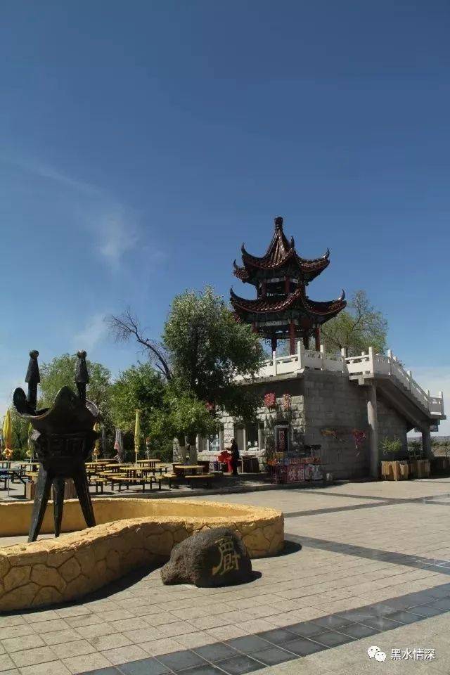 海东青属于大型猛禽,据《契丹国志》记载:"五国(即黑龙江流域的五个