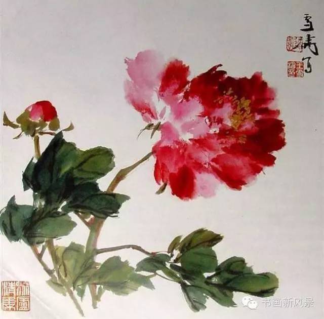 王雪涛写意牡丹36幅！_搜狐网