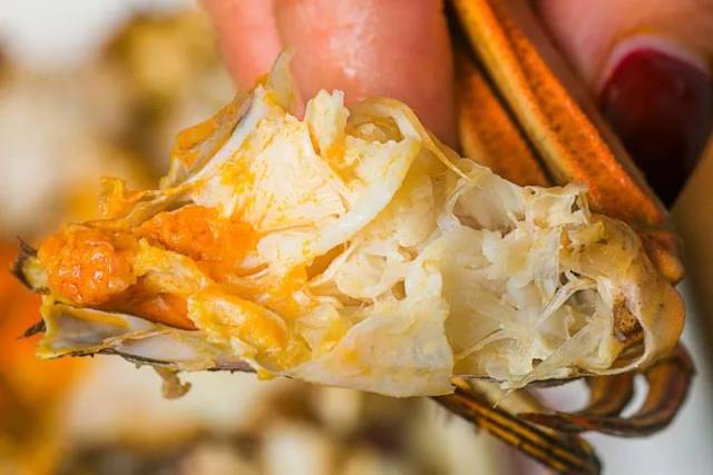 晋江首家炭火直烤大闸蟹,带上含"1"身份证打4.8折!