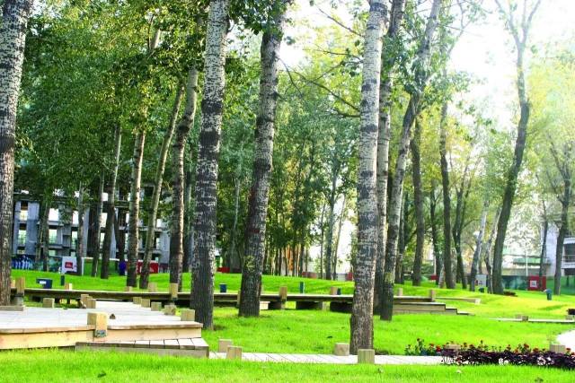 十二年,一个生肖轮回,那个叫家的地方愈加丰饶