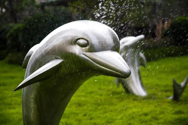 十二年,一个生肖轮回,那个叫家的地方愈加丰饶