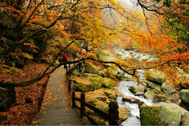 米仓山自然保护区鼓城山红叶包3日自驾游
