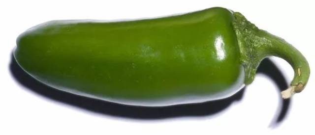 jalapeno(墨西哥辣椒)