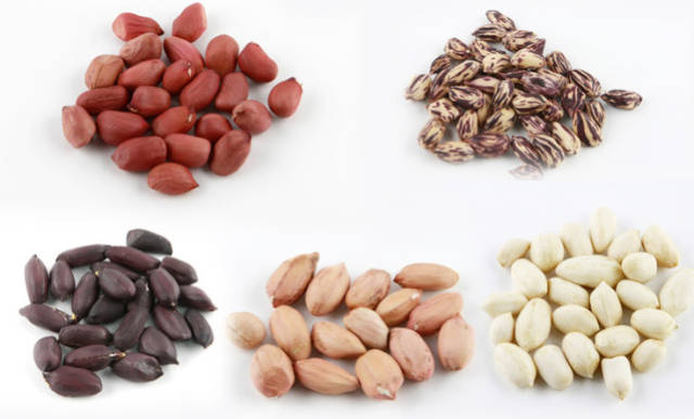 "五彩花生"是转基因吗?