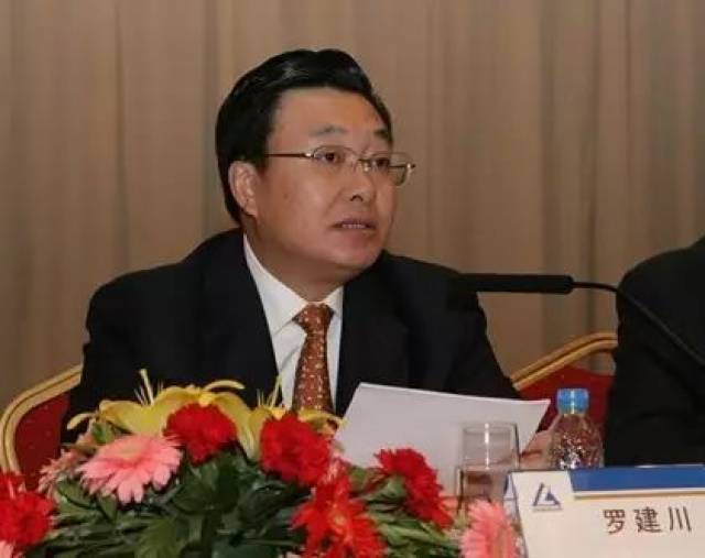 理工管理与经济学院院长 中国科学院预测科学研究中心副主任 罗建川