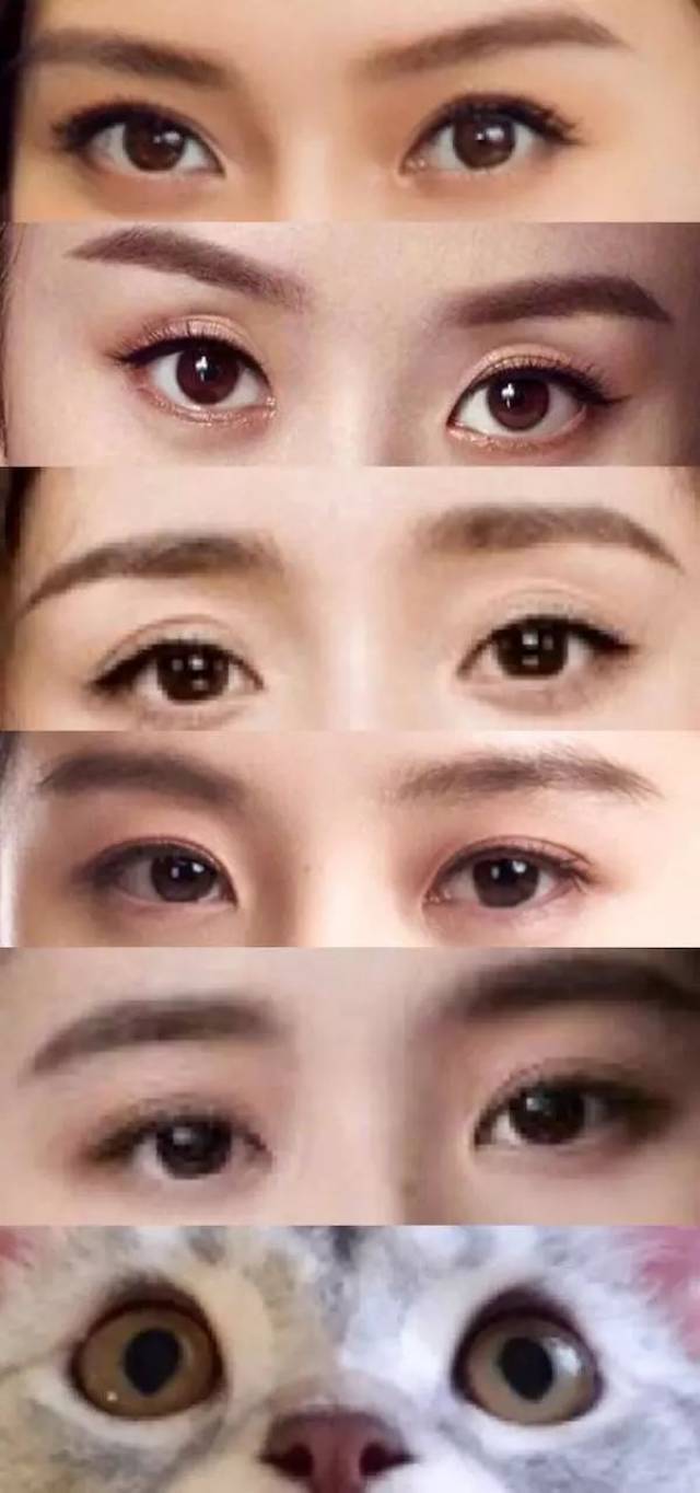 这些女星各个明眸善睐,眼睛各有各的特点,都美得很分明,区别起来并不