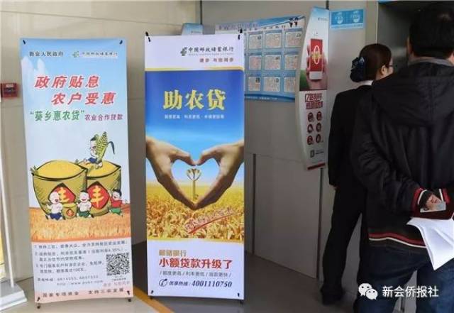 农品品牌策划：打造属于“三农”发展的新名片