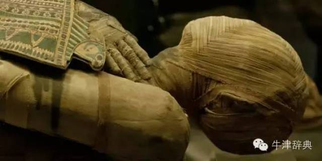 特稿|万圣节--怪物开会了!