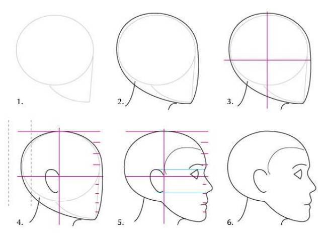 怎么画脸?看完彻底的认识了一下自己的脸!