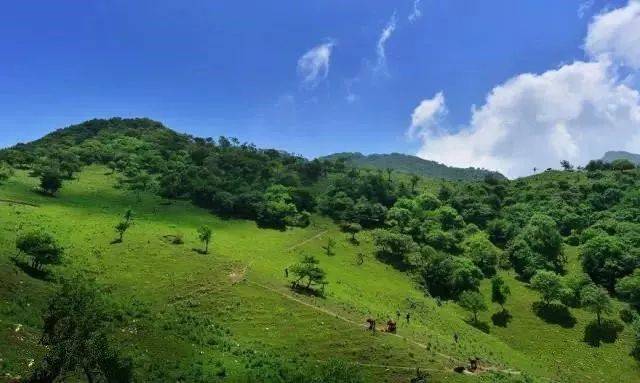 【高校户外】11月4日 | 华阳高山草甸登高赏秋,远眺华山群峰