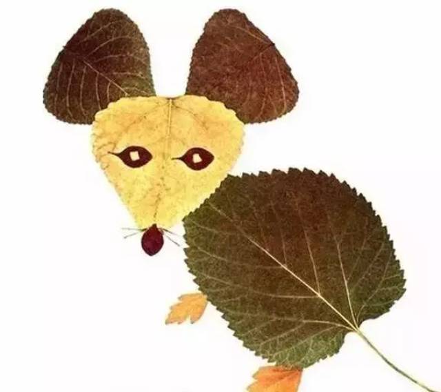 大家好,我们是幼儿园里的秋天的落叶