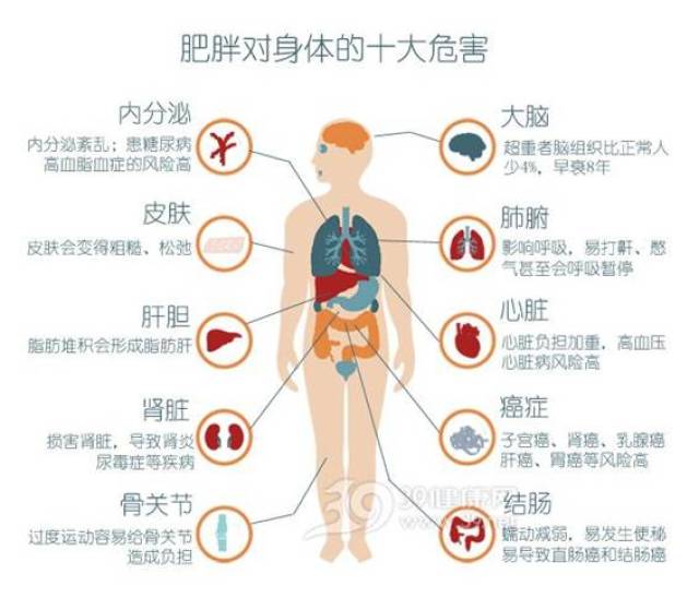 肥胖对身体的危害有多大,看了这条就明白了!