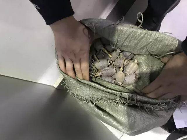 这名大厨便向石某说出如果往拉面的卤里放点"大烟壳"(罂粟),保证顾客