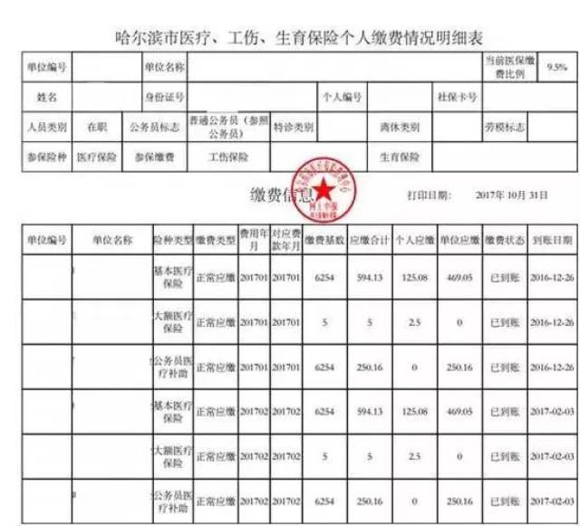 社保明细清单图片