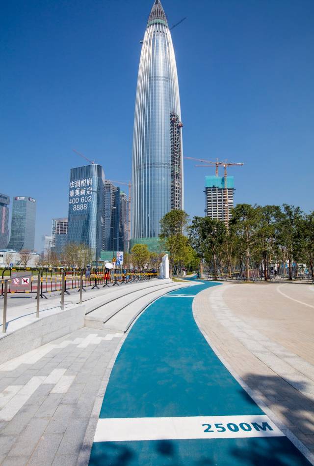 不止芦苇荡,星光桥…深圳人才公园的美,你可能只领略过50%