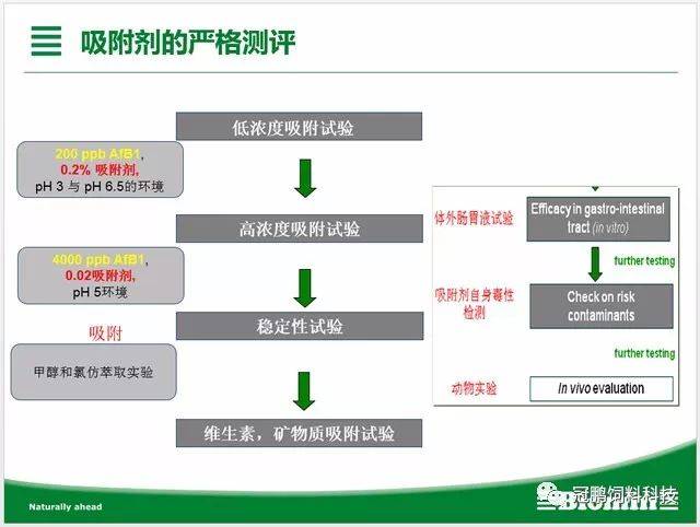 猪饲料脱霉剂在养殖业中的应用与前景