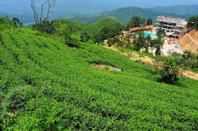 如今登顶大罗山变得轻松多了.