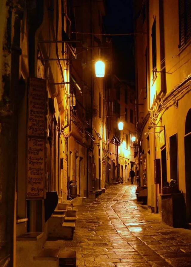 灯火照长街,喧嚣是静夜丨成长感悟