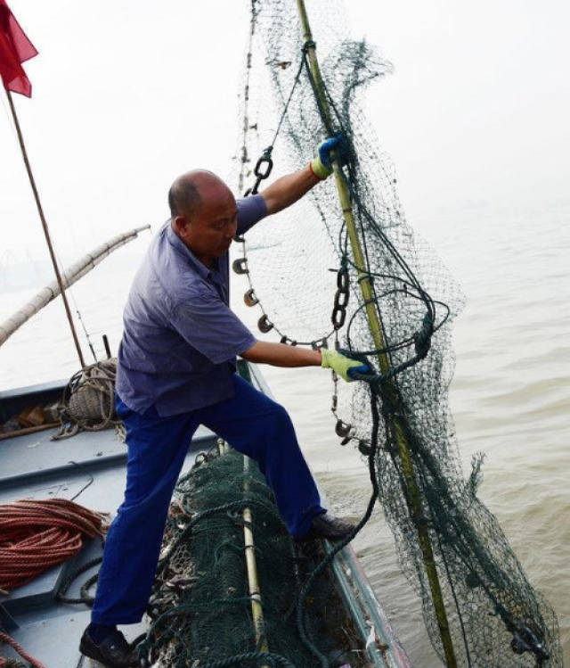 农村大姐长江捕捞野生江蟹一个小时捕获6只每只价格100多